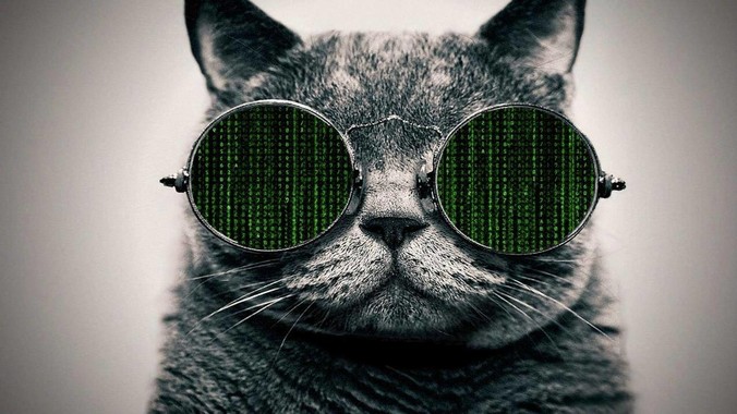 为什么不用rust重写Nginx？